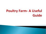 Poultry Farm- A Useful Guide