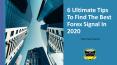 6 Ultimate Tips To Find The Best Forex PowerPoint PPT Presentation