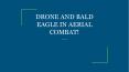 DRONE AND BALD EAGLE IN AERIAL COMBAT! PowerPoint PPT Presentation