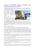Airborne SATCOM Market Outlook and Industry Forecast to 2025 PowerPoint PPT Presentation