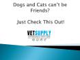 Dogs and Cats can’t be Friends? Just Check This Out! PowerPoint PPT Presentation