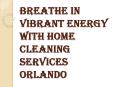 Home Cleaning Services Orlando vs Cleaning the House Yourself PowerPoint PPT Presentation