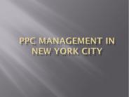 PPC Management in New York City