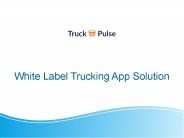 Truck Pulse