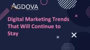 Best Digital Marketing Company in Delhi