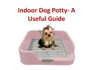 Indoor Dog Potty- A Useful Guide
