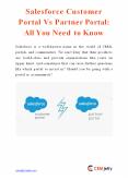 Salesforce Customer Portal Vs Partner Portal: All You Need to Know PowerPoint PPT Presentation
