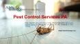 Pest Control Services PA PowerPoint PPT Presentation