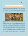 Experience The Beauty of Tanzania Luxury Safari Tours PowerPoint PPT Presentation