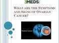 what is Ovarian Cancer ? signs and treatment PowerPoint PPT Presentation