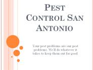 Pest Control San Antonio- Satxpest.com