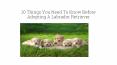 10 Things You Need to Know Before Adopting A Labrador Retriever PowerPoint PPT Presentation