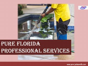 Pure Florida Professional Services