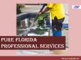 Pure Florida Professional Services PowerPoint PPT Presentation
