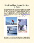 Benefits of Pest Control Services in Dubai PowerPoint PPT Presentation