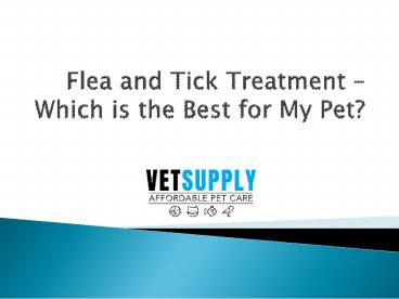 Flea and Tick Treatment – Which is the Best for My Pet?