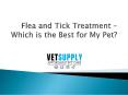 Flea and Tick Treatment – Which is the Best for My Pet? PowerPoint PPT Presentation