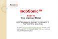 IndoSonic™ -  Ultrasonic Sound Device PowerPoint PPT Presentation