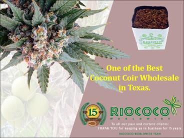 One of the Best Coconut Coir Wholesale in Texas.