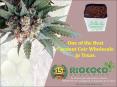 One of the Best Coconut Coir Wholesale in Texas. PowerPoint PPT Presentation