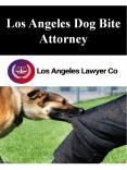 Los Angeles Dog Bite Attorney PowerPoint PPT Presentation