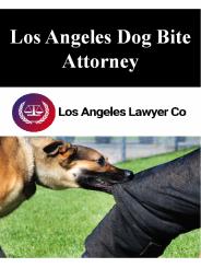 Los Angeles Dog Bite Attorney