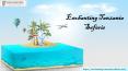 Wildlife Safari, Zanzibar and Kilimanjaro Holidays Packages PowerPoint PPT Presentation