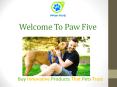 Best Dog Harness | No Pull Dog Harness | Paw Five CORE-1 PowerPoint PPT Presentation