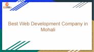 Best Web Development Company in Mohali