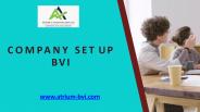 Company Set Up BVI
