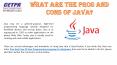 Best Java Online Certification Training Course PowerPoint PPT Presentation