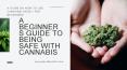 A Guide On How to Use Cannabis Safely For Beginners PowerPoint PPT Presentation