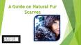 A Guide on Natural Fur Scarves PowerPoint PPT Presentation
