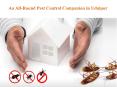 An All-Round Pest Control Companion in Udaipur PowerPoint PPT Presentation