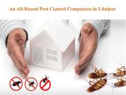 An All-Round Pest Control Companion in Udaipur