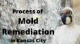 Process of Mold Remediation in Kansas City MO PowerPoint PPT Presentation