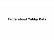 Facts about tabby cats