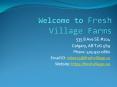 Fresh Village Farms - Calgary Organic Grocery Delivery PowerPoint PPT Presentation