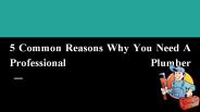 5 Common Reasons Why You Need A Professional Plumber