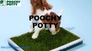 Train your Pet with a Pad