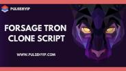 Start MLM platform like ForsageTron Sooner