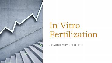In Vitro Fertilization