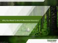 Why You Need To Hire Professional Arborists? PowerPoint PPT Presentation