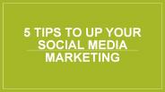 seobestagency (1)