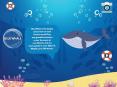 Learn Sea World Animal Names | Sea Animal Game For Kids PowerPoint PPT Presentation