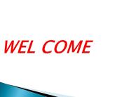 Airport Executive Service