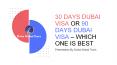 30 Days Dubai Visa or 90 Days Dubai Visa – Which one is best PowerPoint PPT Presentation