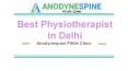 Best Physiotherapist in Delhi - Anodynespine Fitlife Clinic PowerPoint PPT Presentation