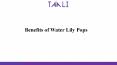 Benefits of Water Lily Pops PowerPoint PPT Presentation