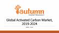 Global Activated Carbon Market, 2019-2024 PowerPoint PPT Presentation